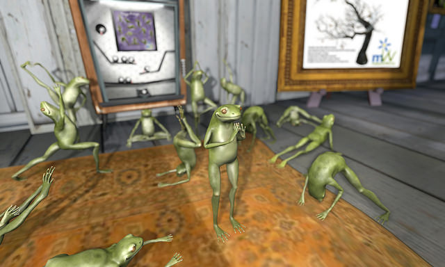 Terpii frogs doing yoga