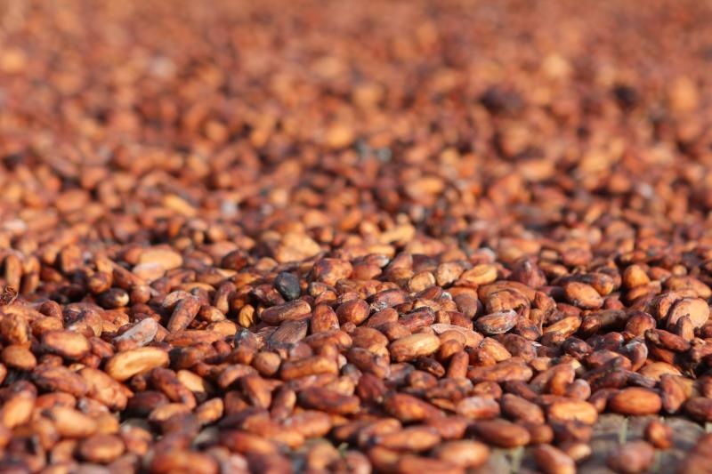 Beans