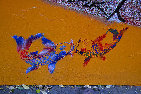 Street art of koi fish on a yellow wall