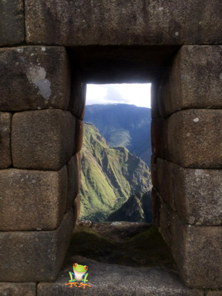 Terpii sitting in a window sill in Machu Picchu