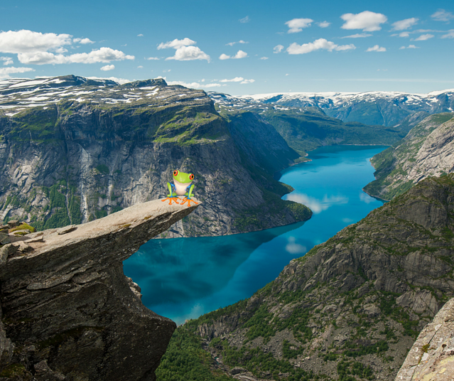 Terpii sitting on a cliff edge in Norway