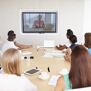 Video Remote Meeting