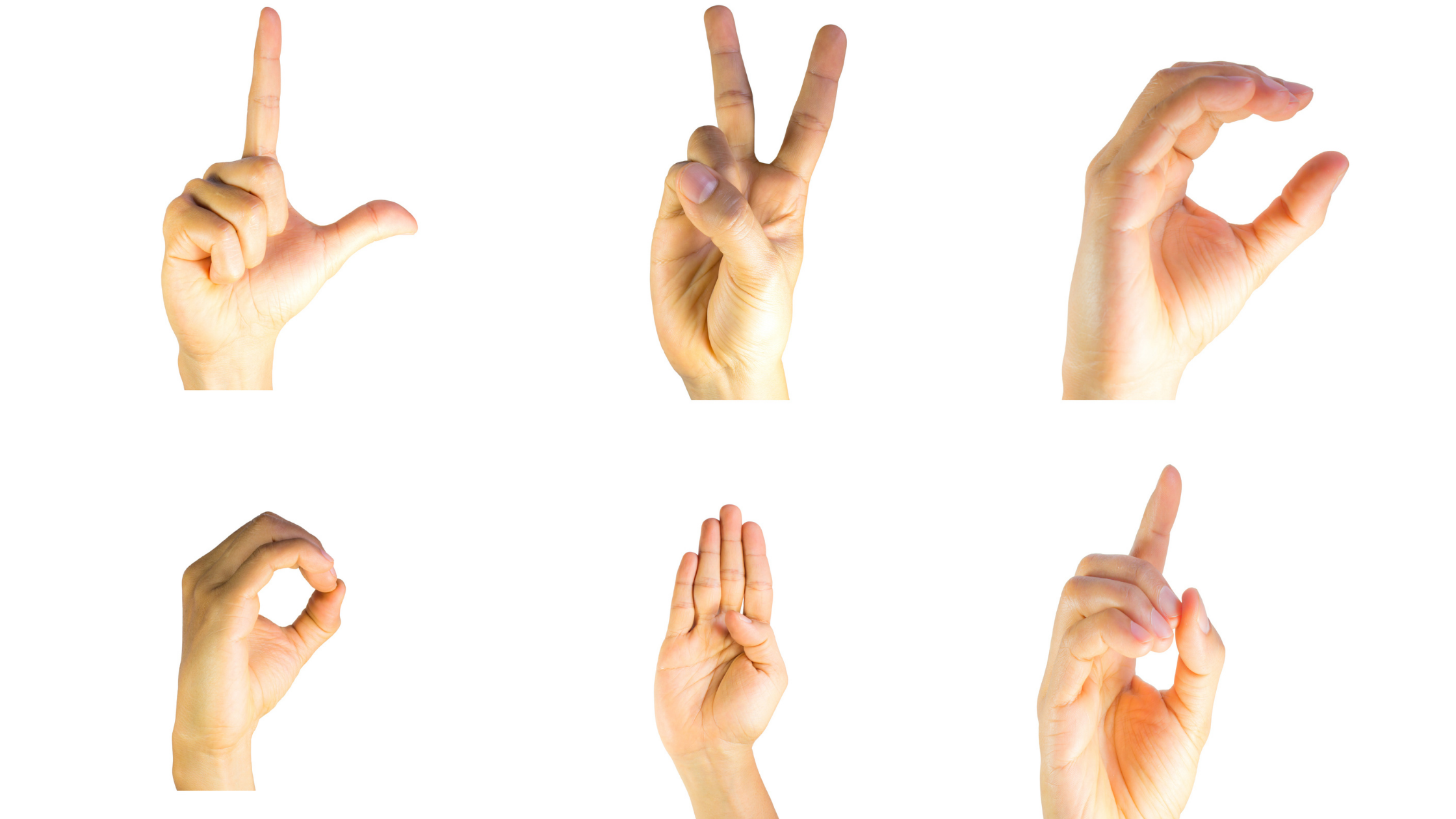 hands showing American Sign Language signs